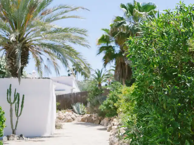 Casa La Luz huren in Spanje, Costa Blanca, Jávea - villa Wanneer mogen wij jou verwelkomen in Casa La Luz?