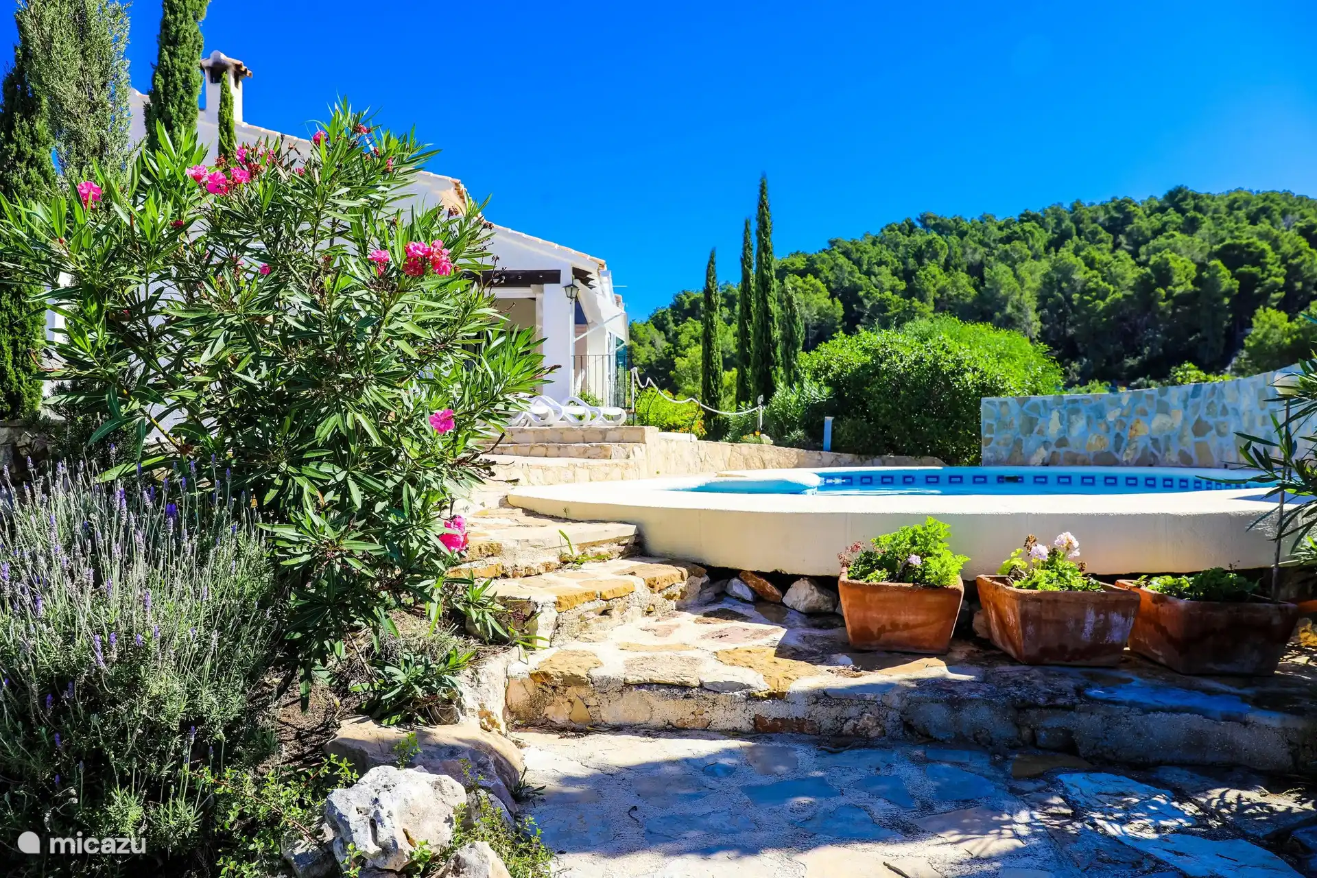 Du vert, du vert et encore du vert.