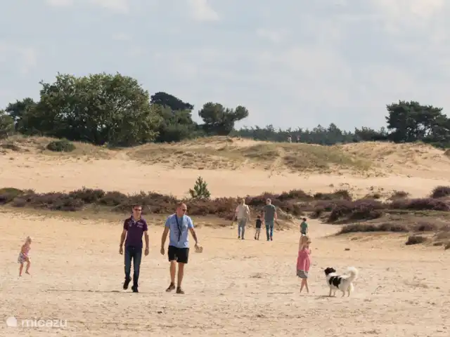 Hermoso Kota 4p con sauna y bañera de hidromasaje en Países Bajos, Drente, Diever - casa vacacional