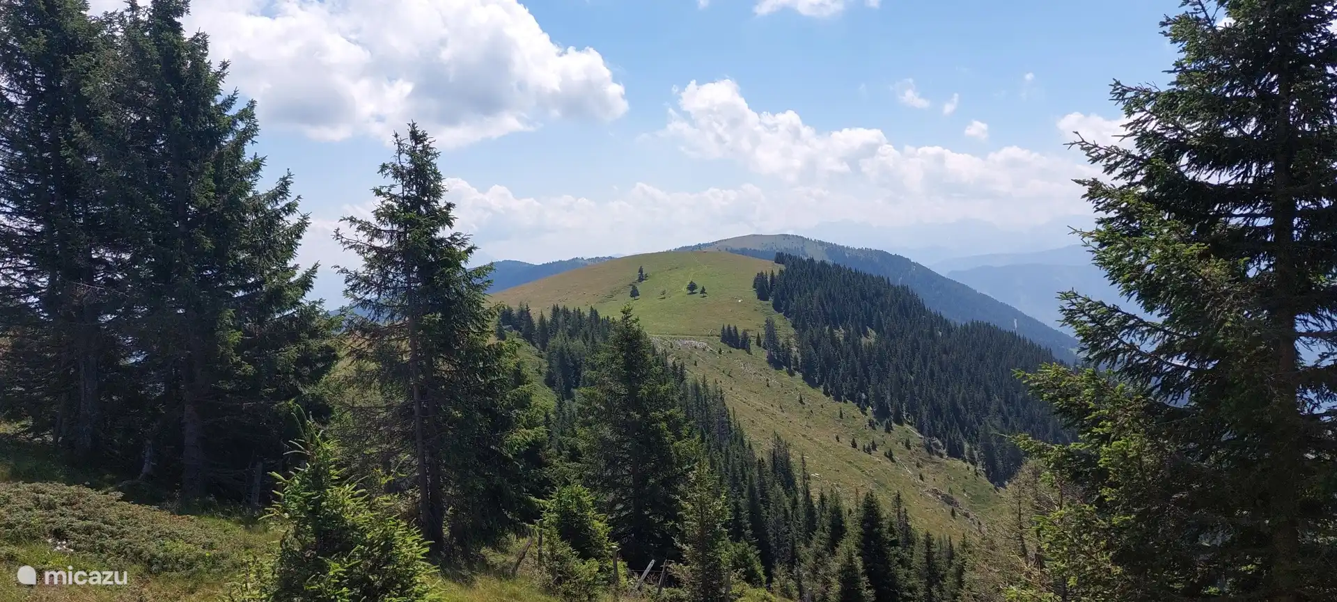 Fast auf dem Mirnock!