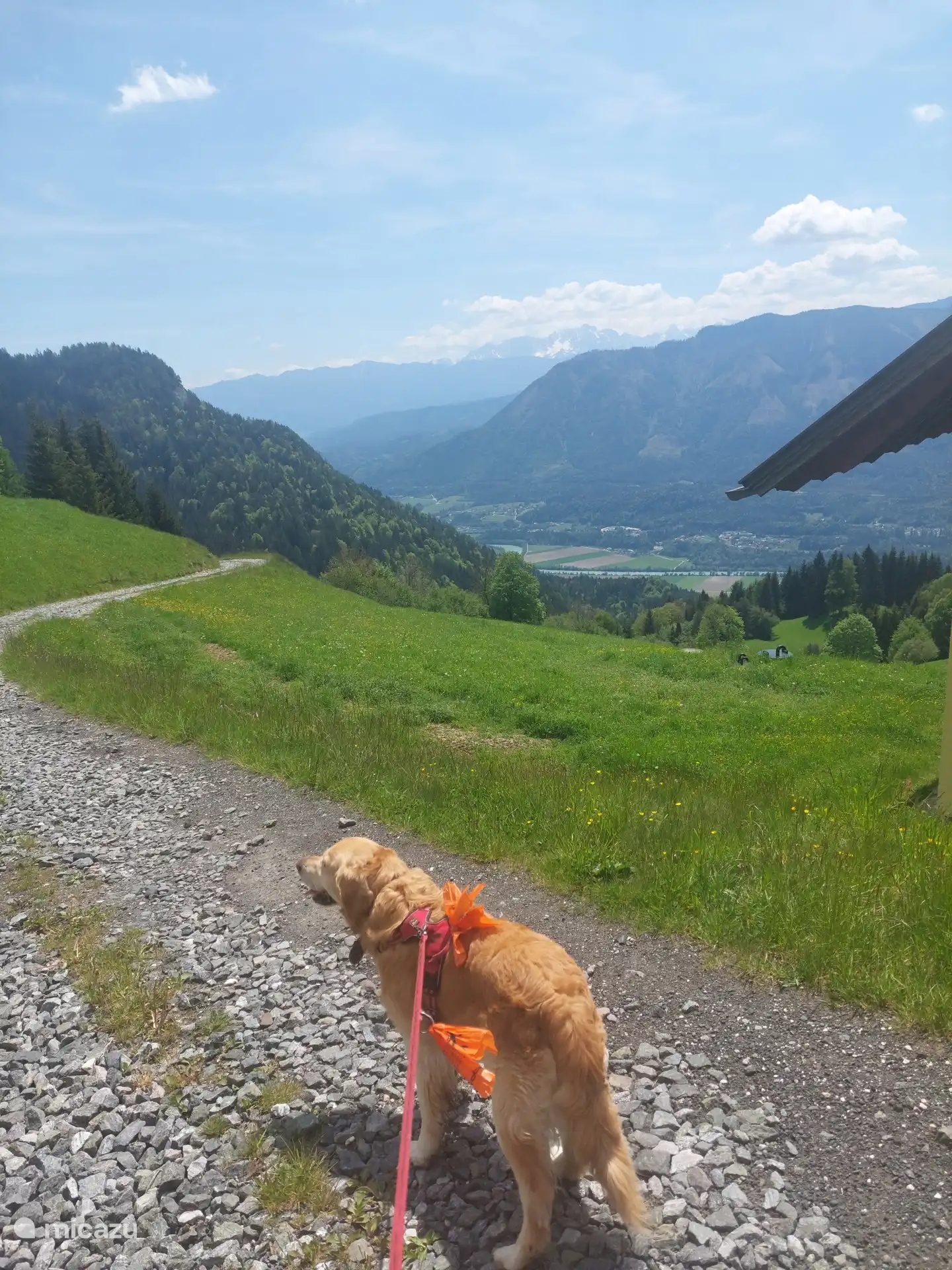 Mit Buddy liefen wir hoch in Richtung des Dorfes über uns: Dort sind: Fresach/Tragenwinkel/Mooswald