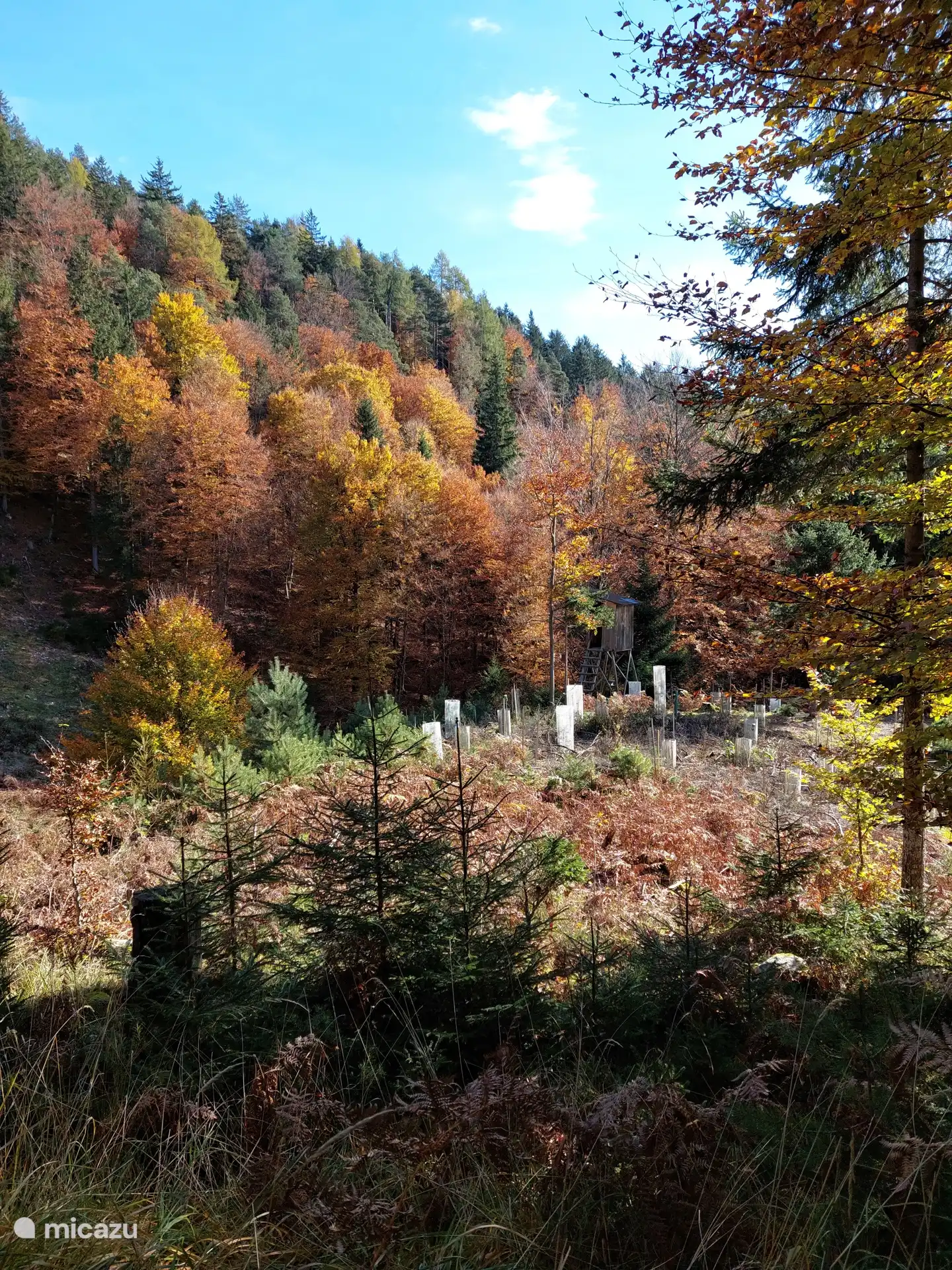 Bei einem Spaziergang gleich hinter uns das Dorf, zu dem unsere Ortschaft Lansach gehört: Weissenstein.