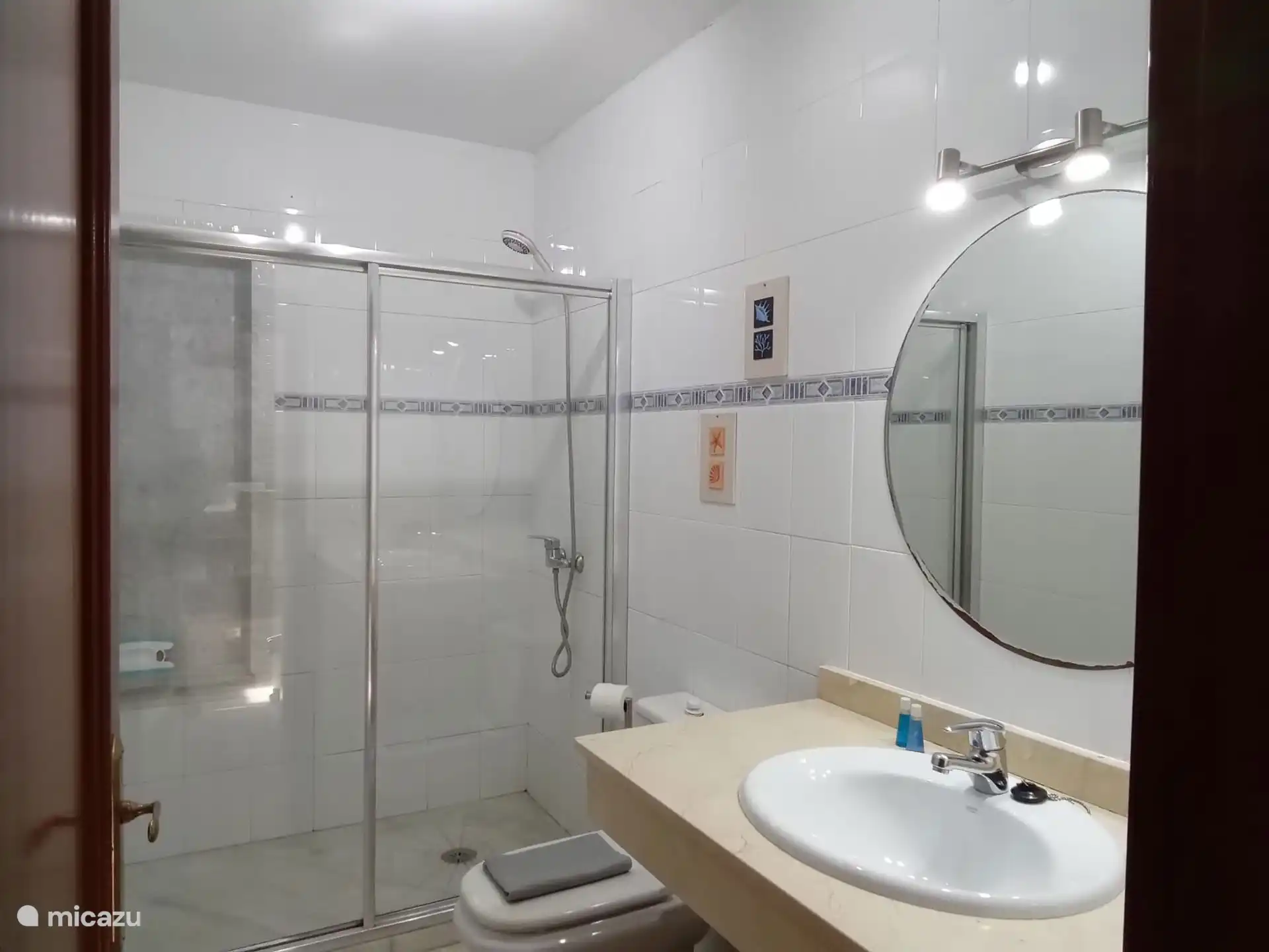 The second bathroom has a walk-in shower, toilet and sink.