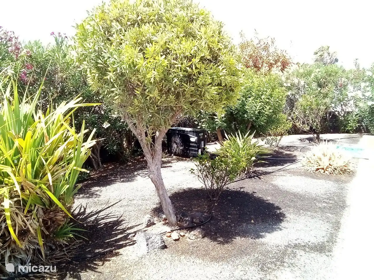 See you soon at Villa Rosalia!