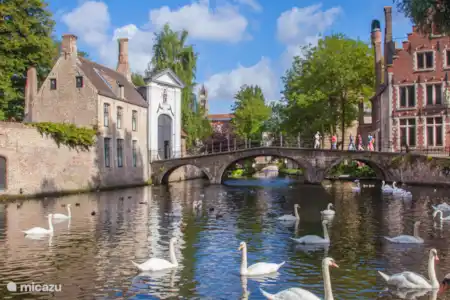 Brugge
