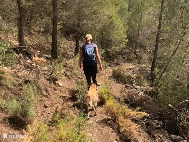 Casa La Vida Serena huren in Spanje, Andalusië, Alcaucin - villa Verken direct vanuit de villa prachtige wandelroutes langs olijfgaarden, heuvels en adembenemende vergezichten.