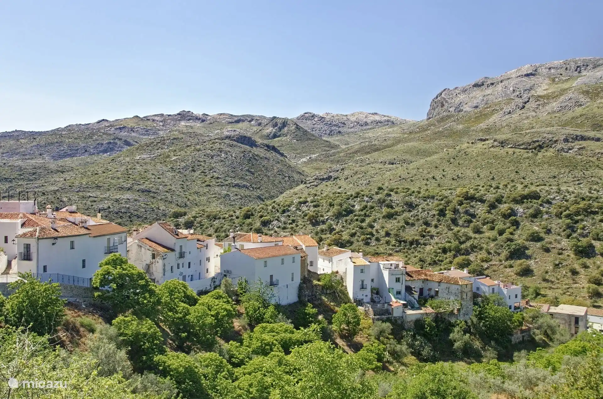 Breathtaking panoramas.
Let yourself be carried away by the view over the rolling Andalusian hills. 