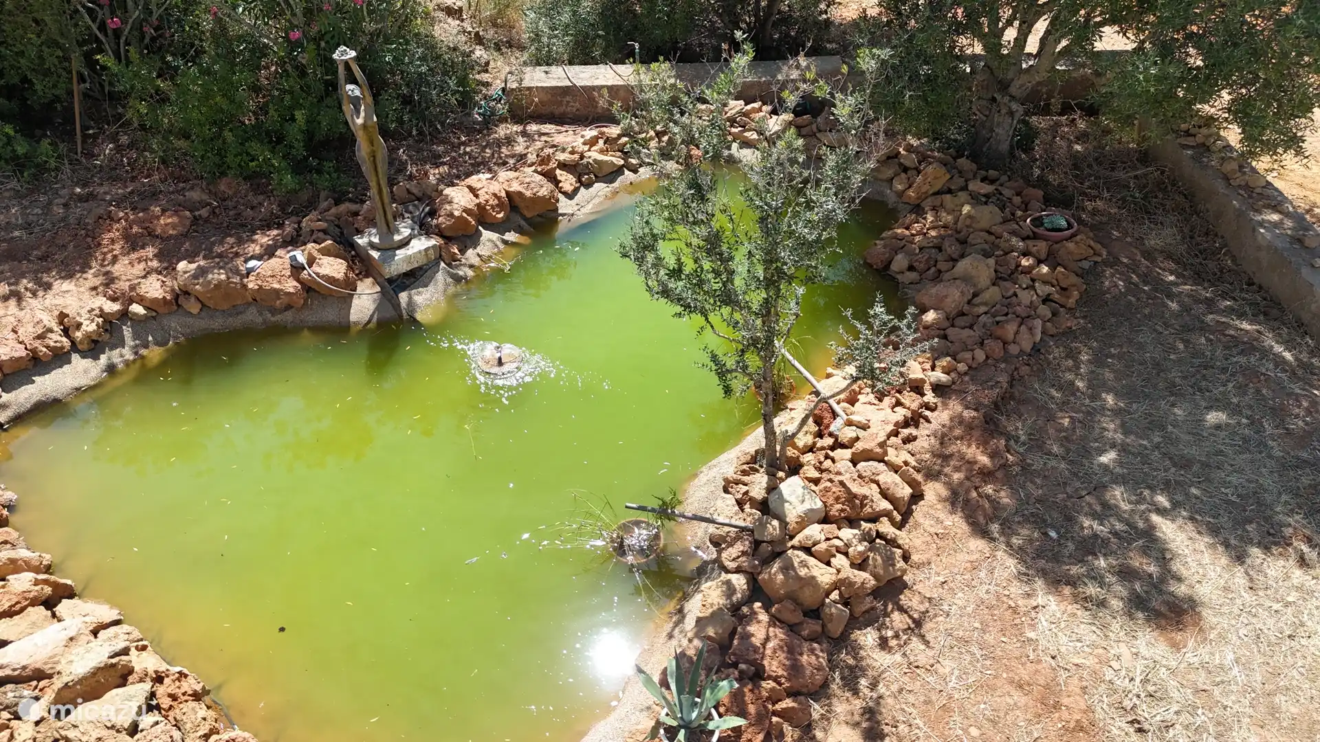 Étang et paradis des oiseaux