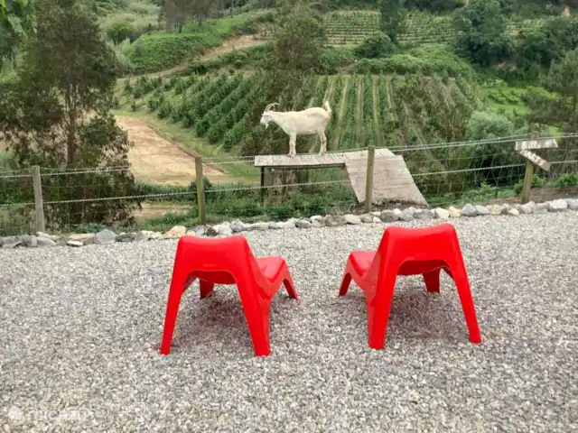 casa vacacional en Portugal, Costa de Prata, Alfeizerão –  Casa Grilos Vista del valle