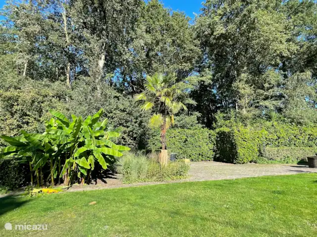 Swaelvlei  huren in Nederland, Gelderland, Aalten - vakantiehuis Tuin