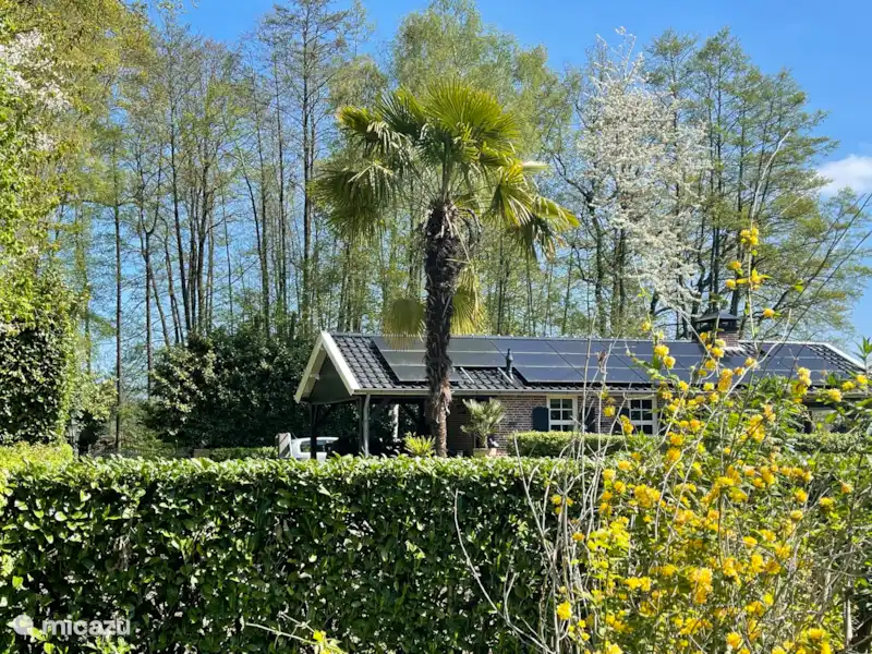 Swaelvlei  huren in Nederland, Gelderland, Aalten - Vakantiehuis Swaelvlei  huren in Nederland, Gelderland, Aalten - Vakantiehuis
