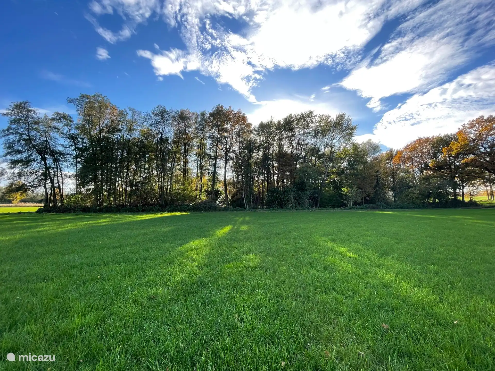 Herbstfoto eigener Wald