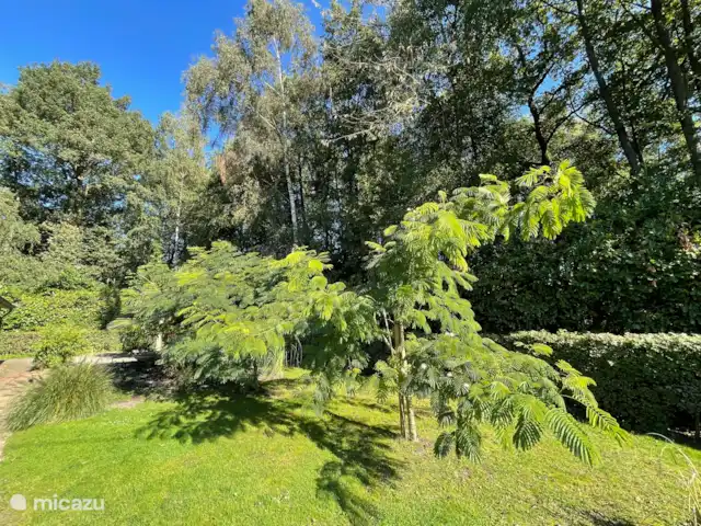 Swaelvlei  huren in Nederland, Gelderland, Aalten - vakantiehuis Tuin