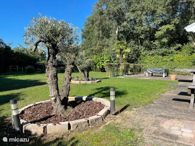 Swaelvlei  huren in Nederland, Gelderland, Aalten - vakantiehuis Tuin