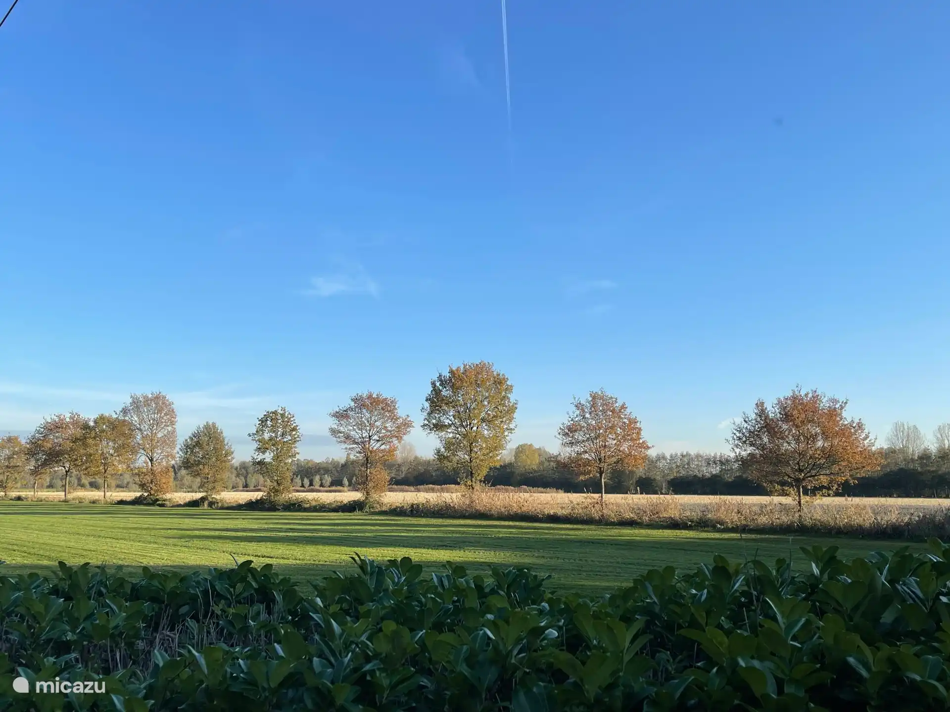 Herbstfoto aus dem Garten mit Blick auf die Wiesen 