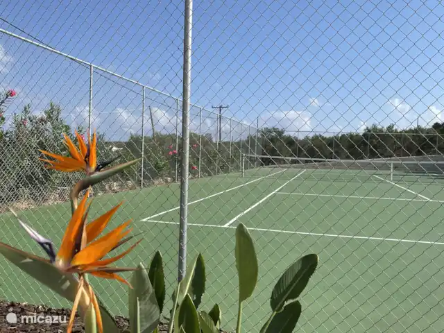 Villa Cleon en Grecia, Creta, Plaka - villa Villa Cleon