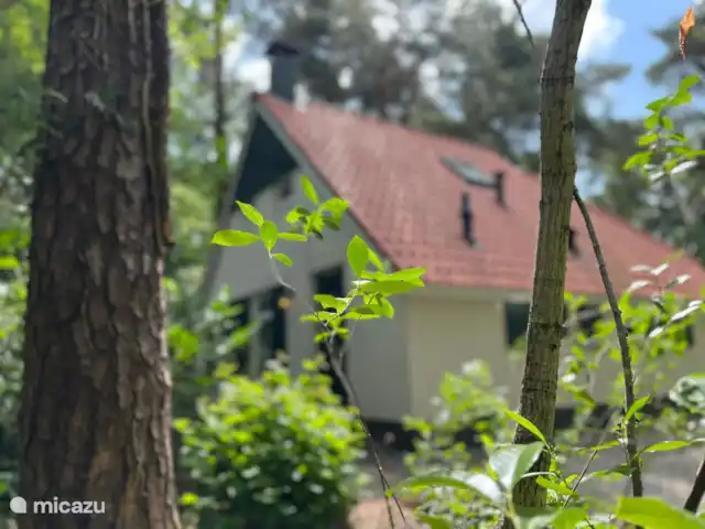 El Molshoop en Países Bajos, Overijssel, IJhorst - casa vacacional El Molshoop