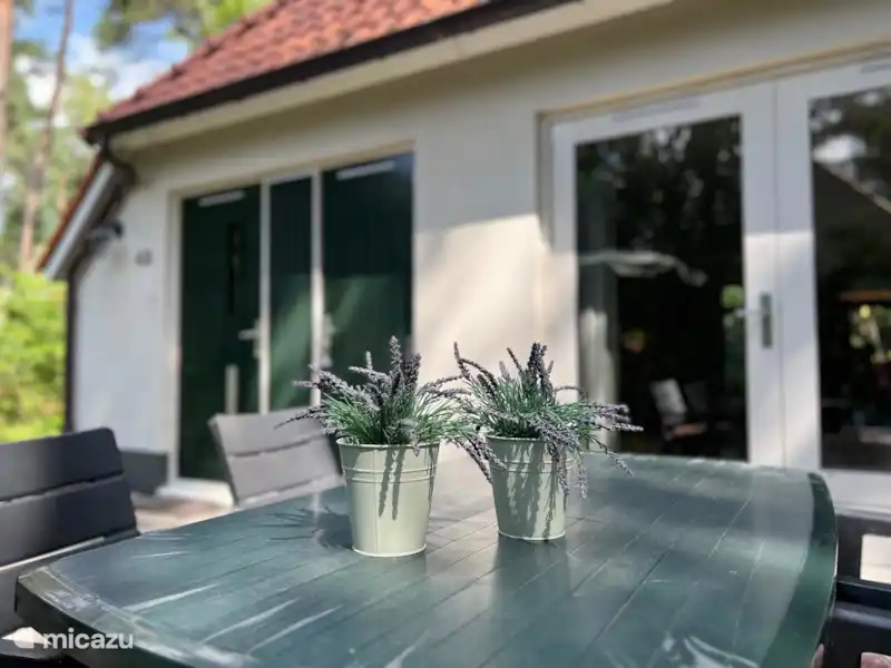 De Molshoop huren in Nederland, Overijssel, IJhorst - Vakantiehuis  De Molshoop huren in Nederland, Overijssel, IJhorst - Vakantiehuis