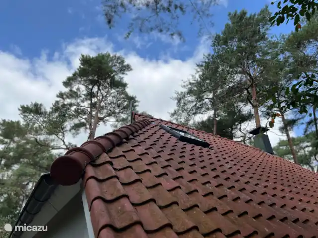 El Molshoop en Países Bajos, Overijssel, IJhorst - casa vacacional El Molshoop
