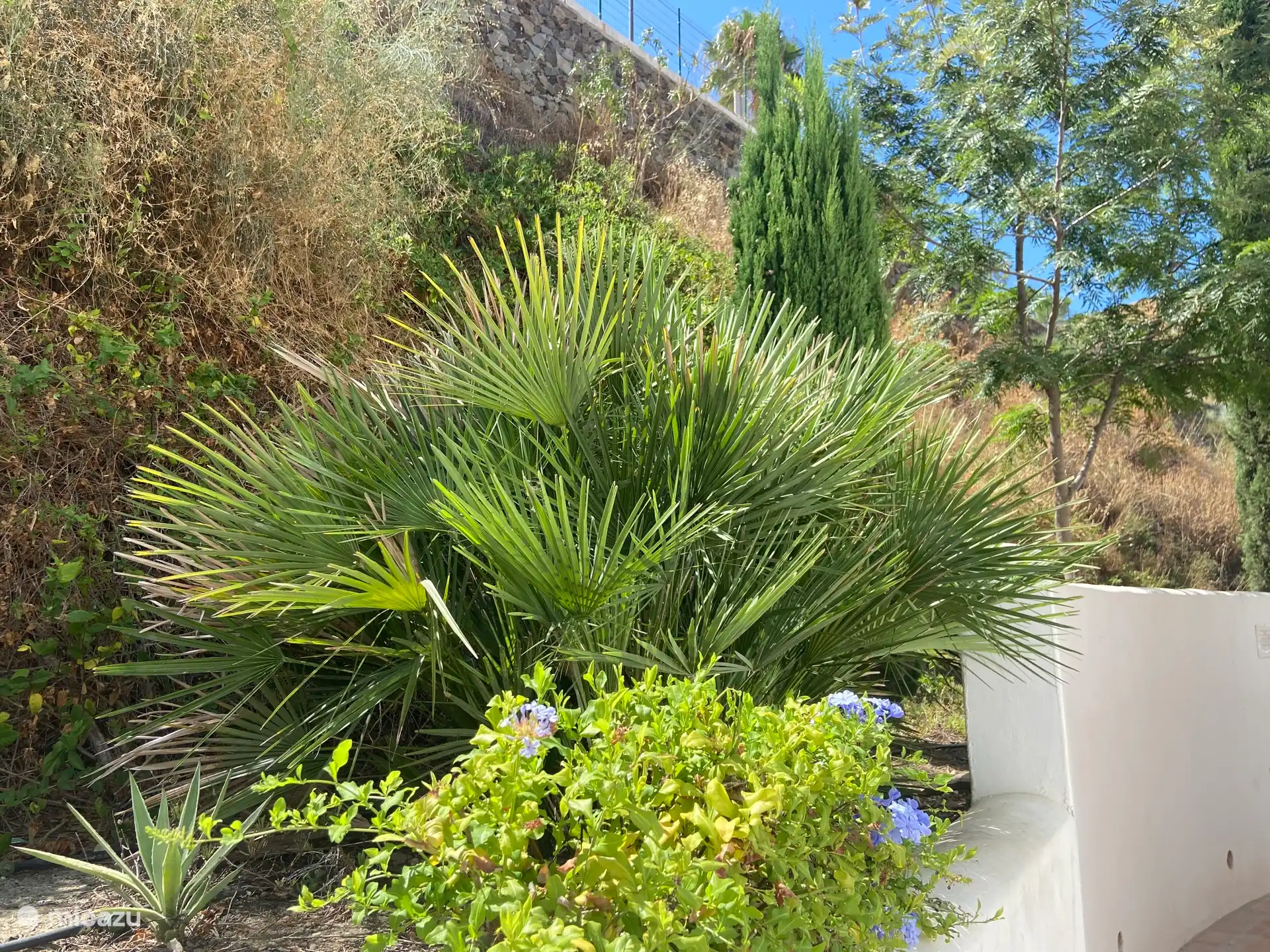 Wunderschön angelegte Gärten