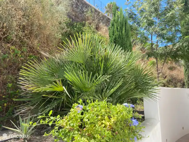 Ático en primera línea de mar VistaMar en España, Costa del Sol, Torrox-Costa - penthouse Hermosos jardines maduros