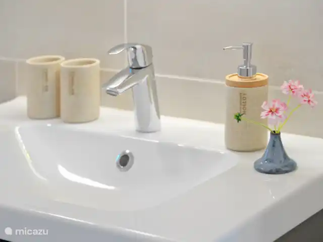 El dálmata en Países Bajos, Güeldres, Winterswijk - casa vacacional Mueble de baño