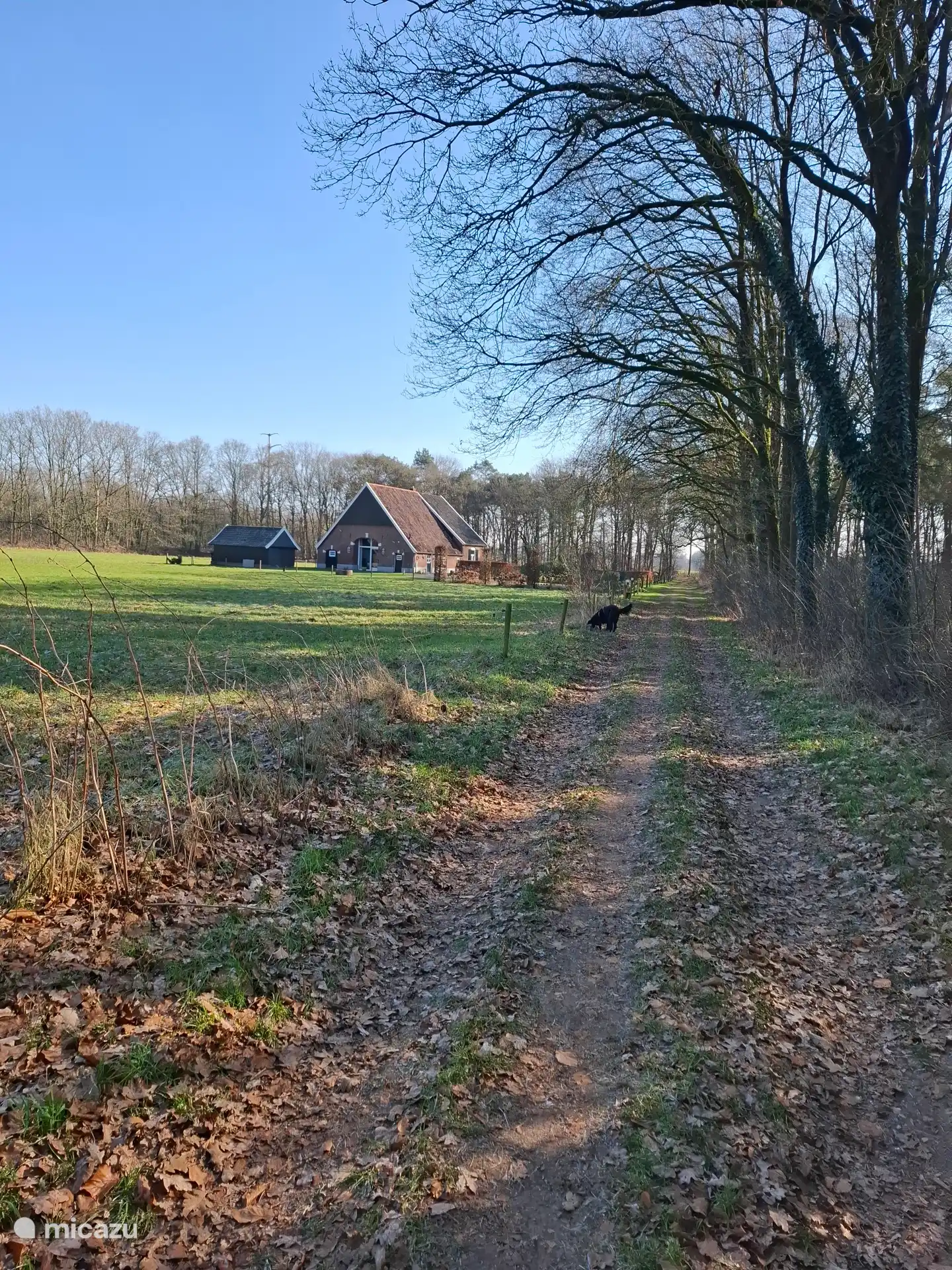 Vanuit het vakantiehuisje wandel je direct over dit mooie bospad.