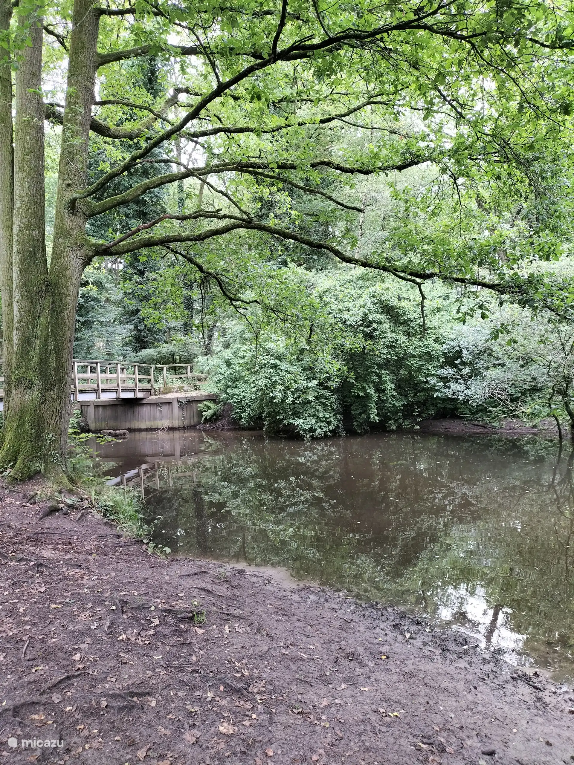 Onderweg in het buitengebied van Winterswijk - nabij het strandbad