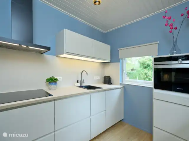 El dálmata en Países Bajos, Güeldres, Winterswijk - casa vacacional La cocina está equipada con todas las comodidades, como lavavajillas, placa de inducción, horno combinado y nevera con congelador.