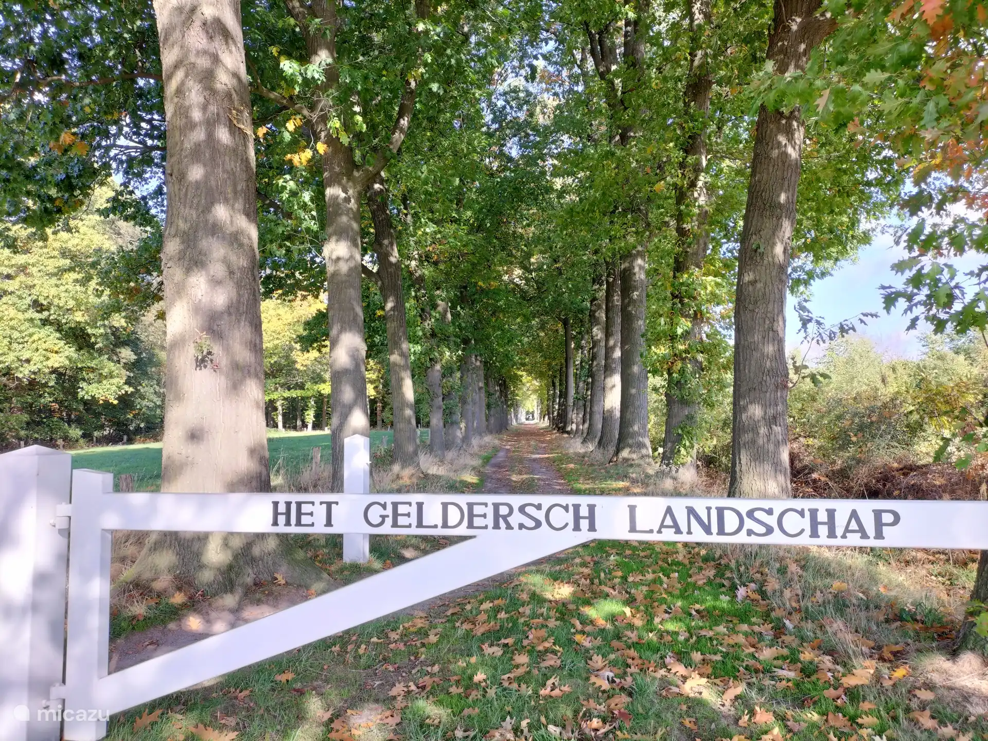 Geldersch Landschap - vele mooie wandelpaden/-gebieden.
