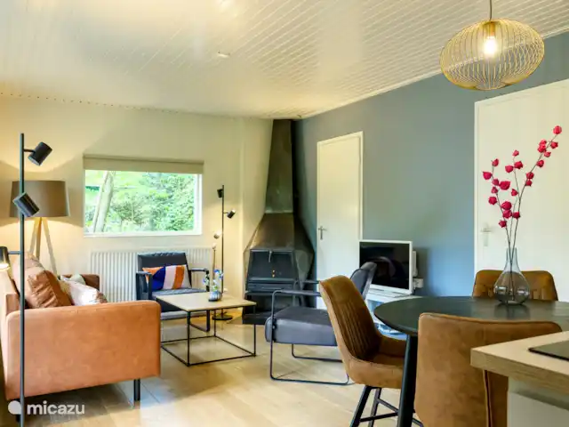 El dálmata en Países Bajos, Güeldres, Winterswijk - casa vacacional Sala de estar con chimenea y comedor