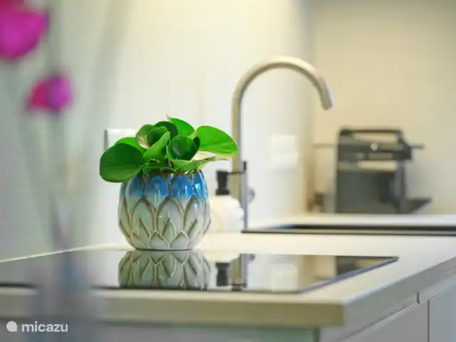 El dálmata en Países Bajos, Güeldres, Winterswijk - casa vacacional Cocina asomada.