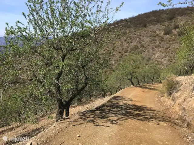 Mi Casa Es Su Casa | Espagne, Andalousie, Sedella - maison de vacances Le chemin vers l’hébergement