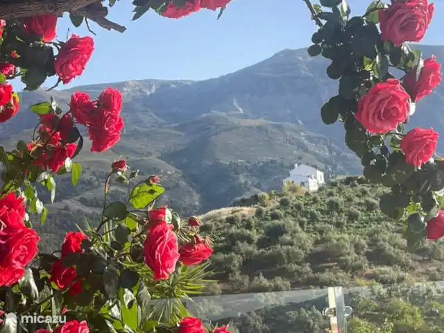 Mi Casa Es Su Casa | Espagne, Andalousie, Sedella - maison de vacances Vue