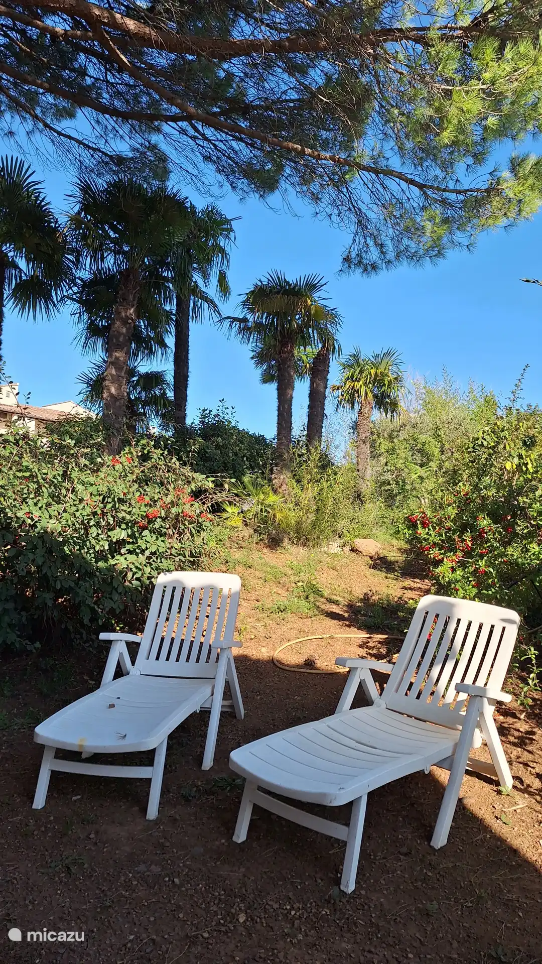 Terreno de ocio compartido por las 2 casas rurales