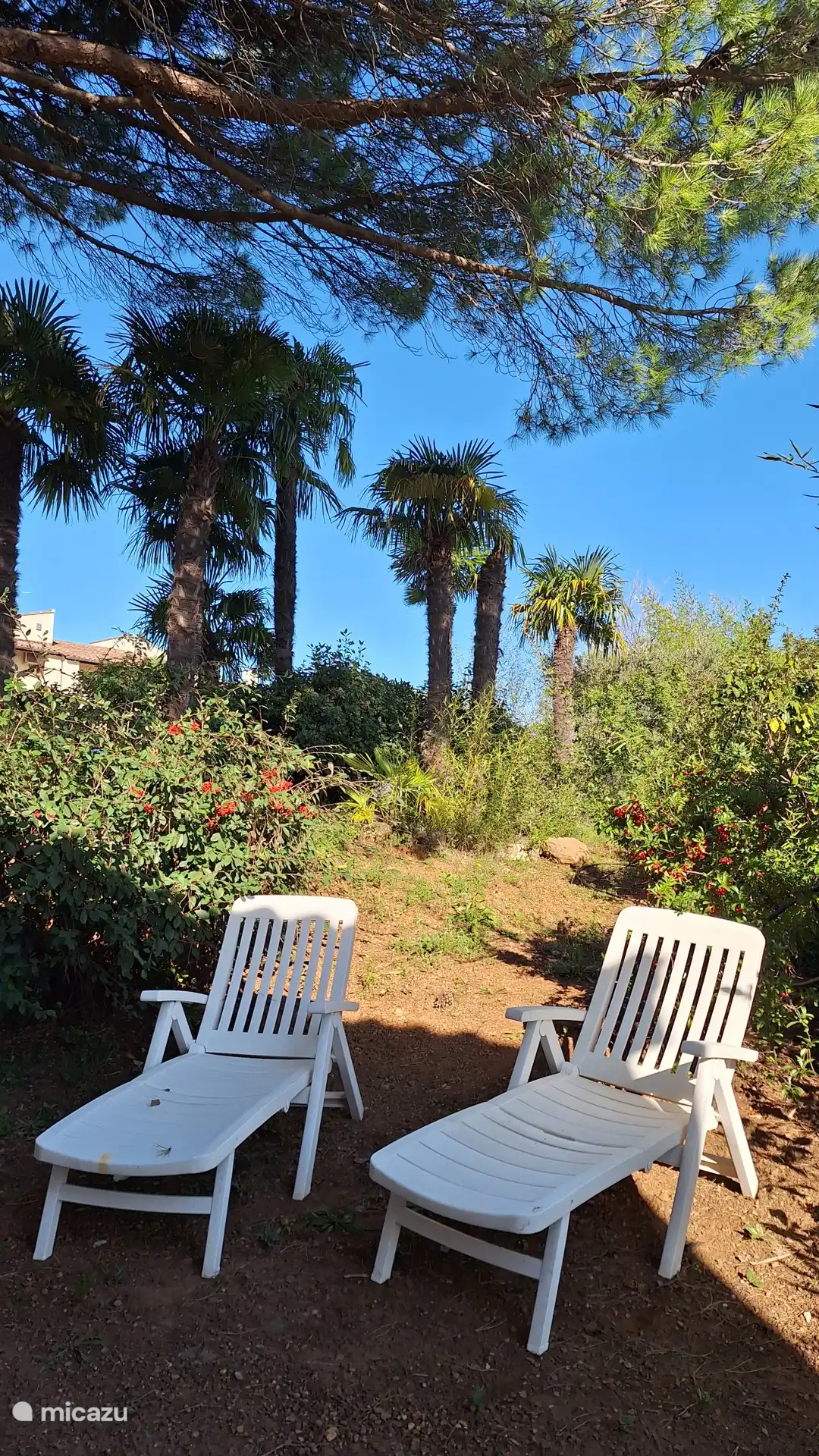 Freizeitgrundstück, das von den 2 Ferienhäusern geteilt wird