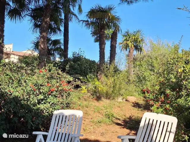 Sous le grand Pin- Eden en Cévennes | France, Gard, Anduze - gîte / cottage Terrain de loisir commun au 2 gîtes