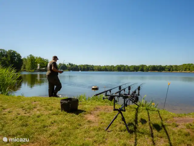 Cabaña Woodsy Forest en Países Bajos, Limburgo, Sevenum - chalet