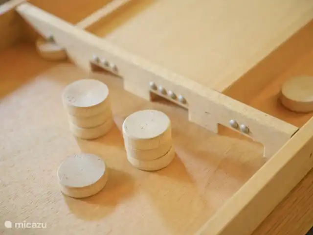 Le Flatcoated | Pays-Bas, Gueldre, Winterswijk - maison de vacances Qui participe à une partie de shuffleboard ?