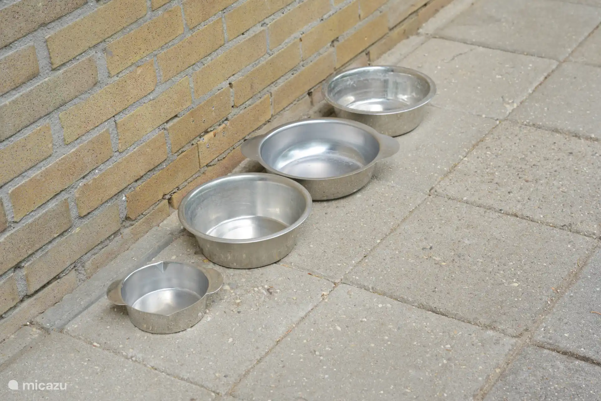 Les bols de nourriture sont prêts