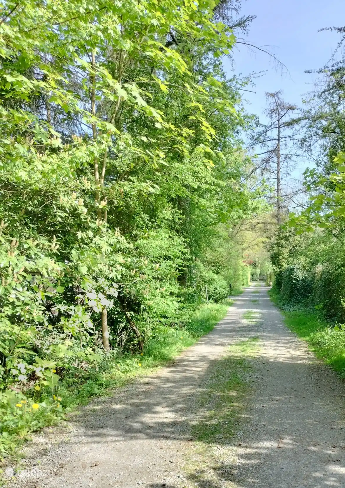 Chemin d’accès sans issue aux cottages