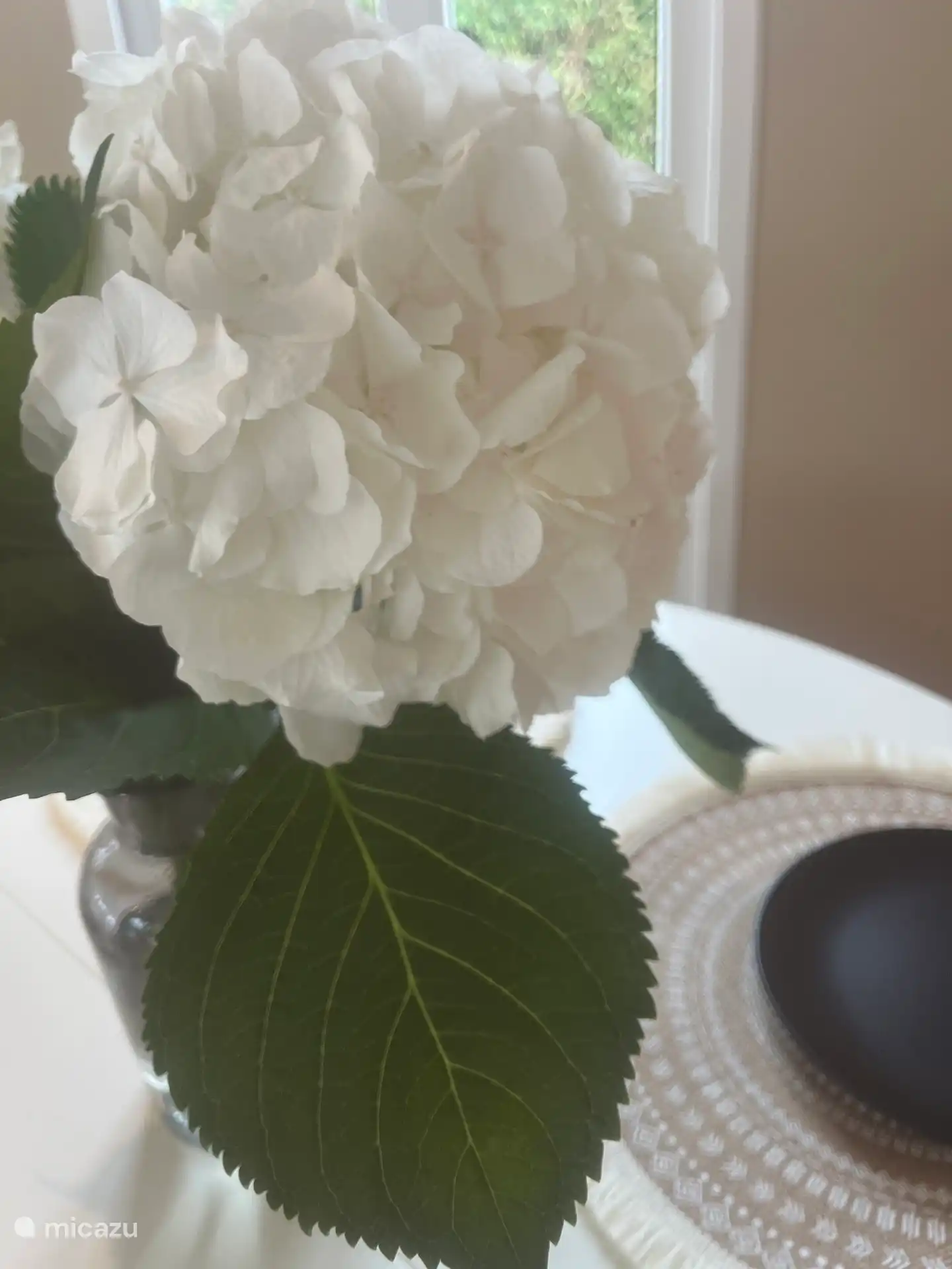 Vive in Niederlande, Gelderland, Putten - Chalet