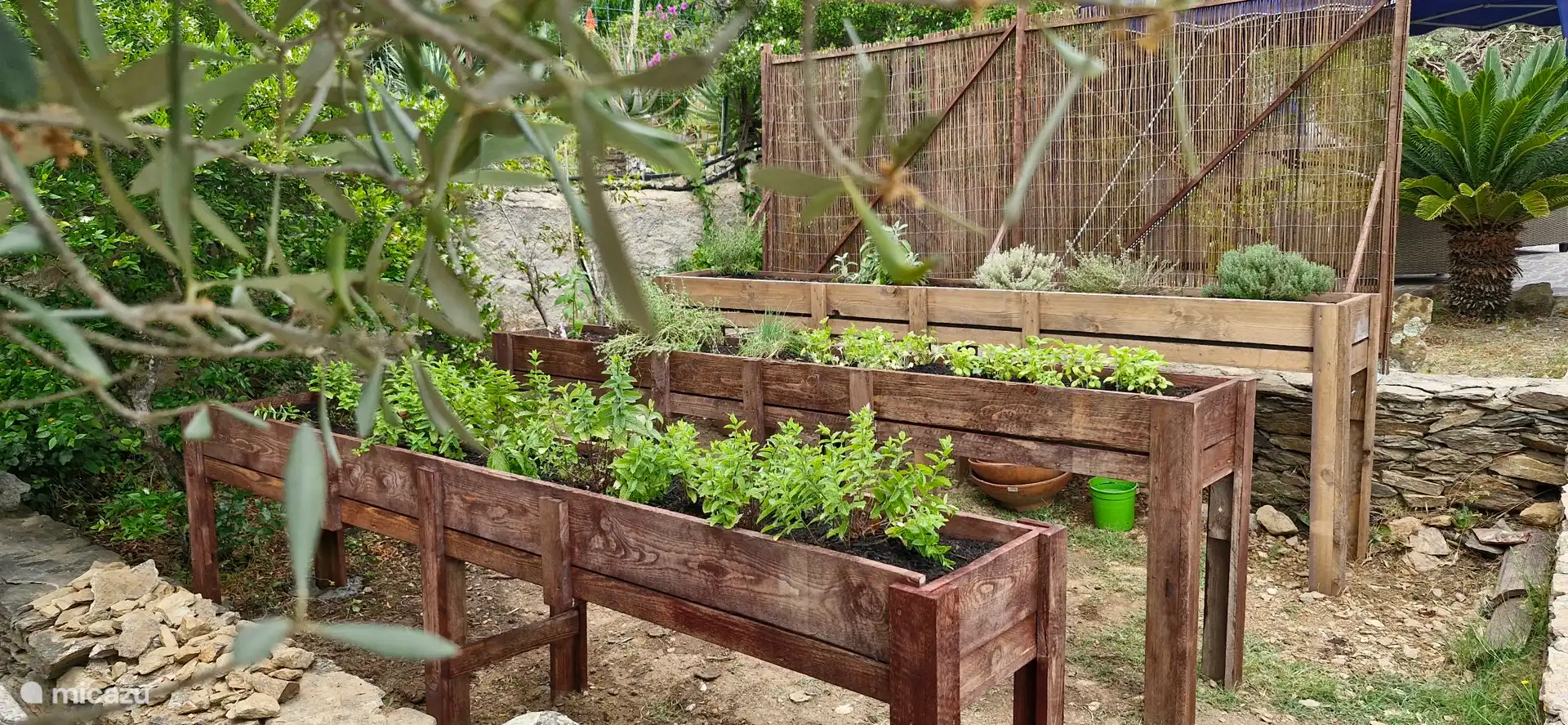 Jardín de recolección de hierbas