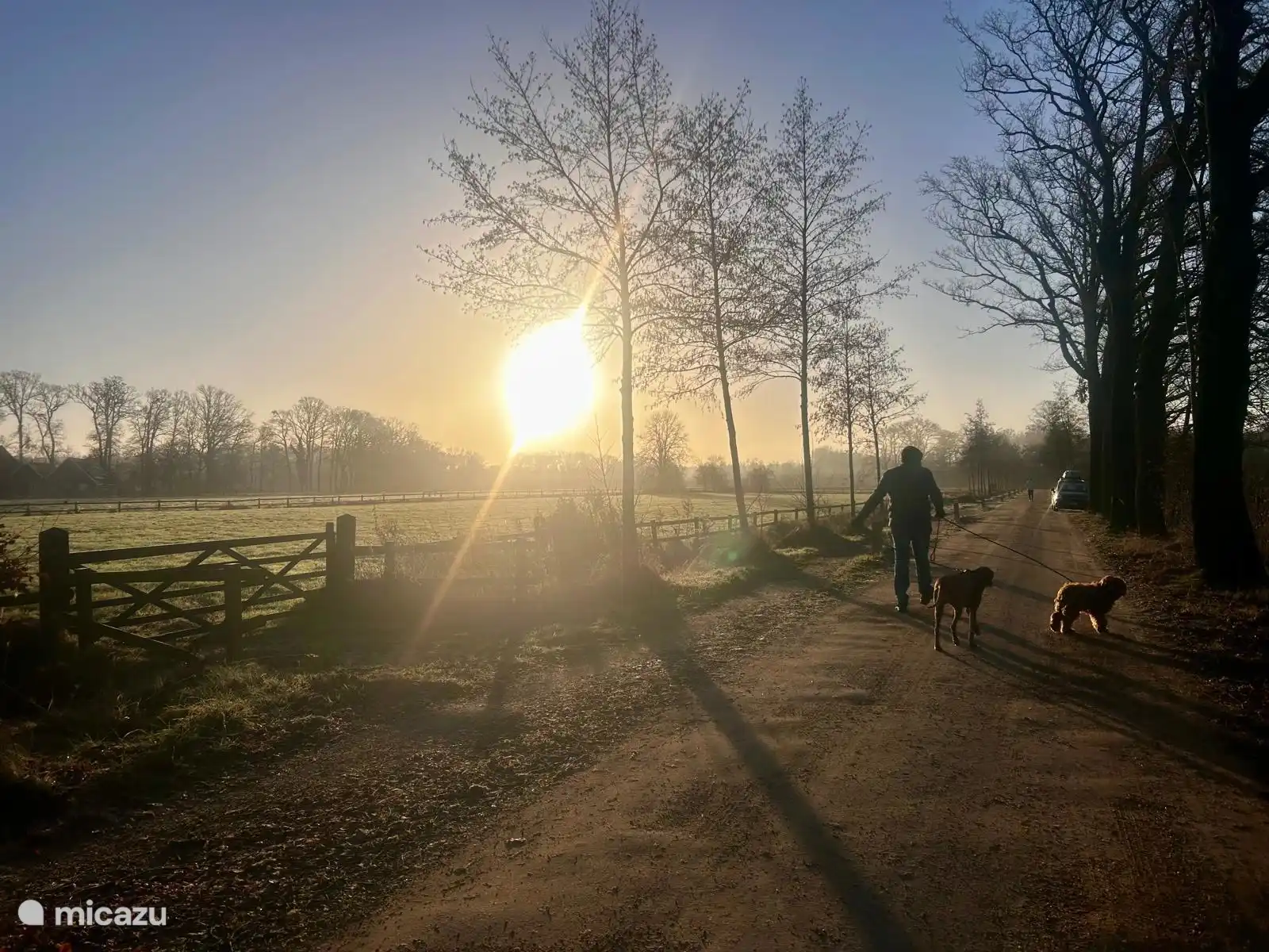 Veel wandelmogelijkheden, direct vanuit het vakantiehuisje.