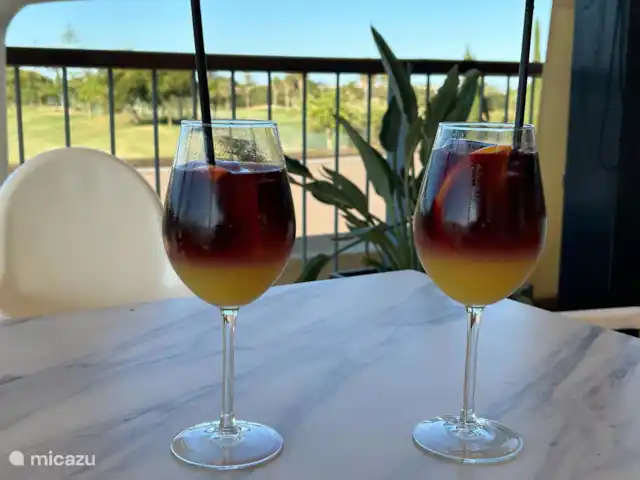 Casa Luna Dorada - paradise huren in Spanje, Costa Cálida, San Javier - penthouse Cheers