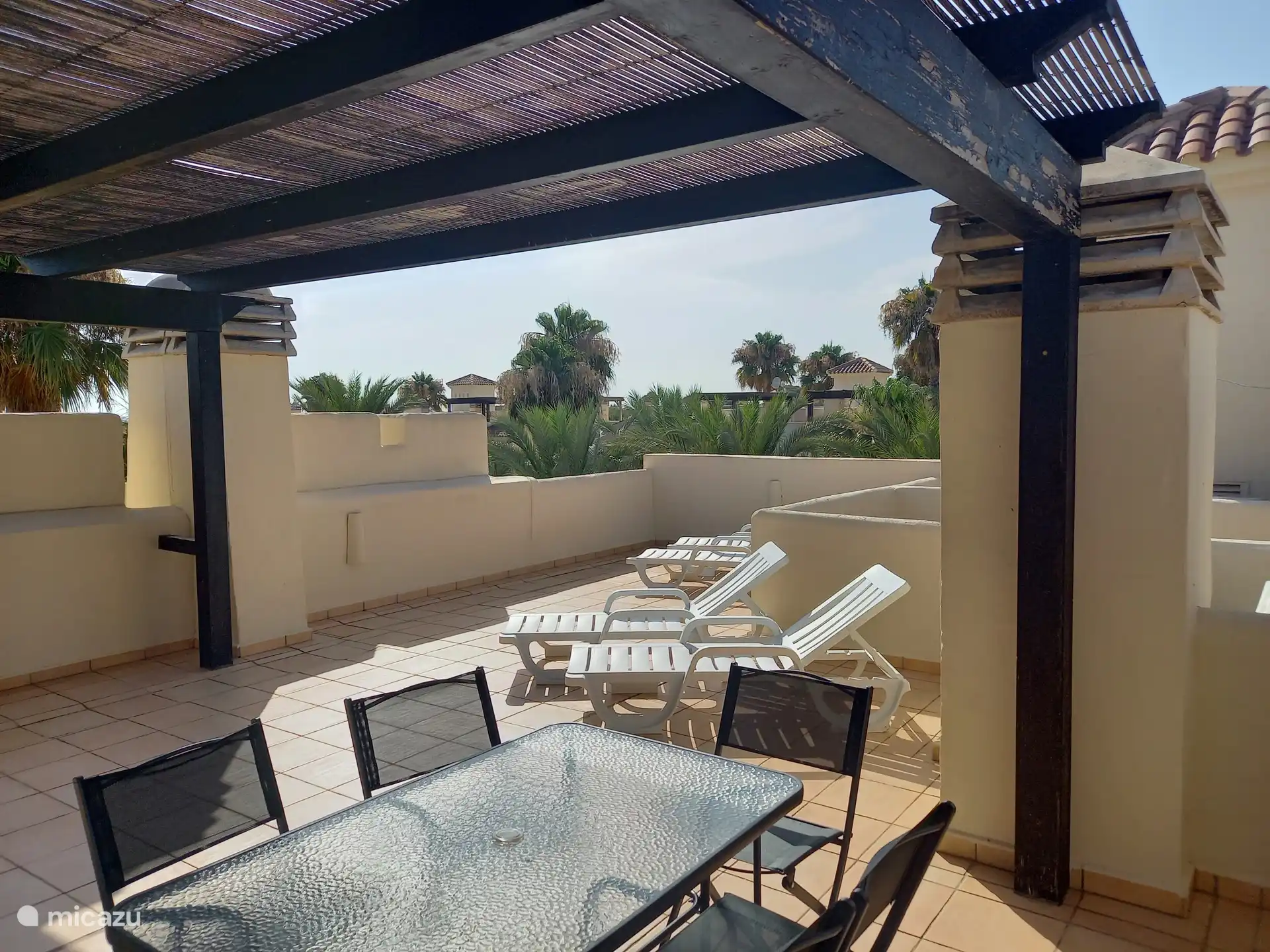 Rooftop solarium with pergola