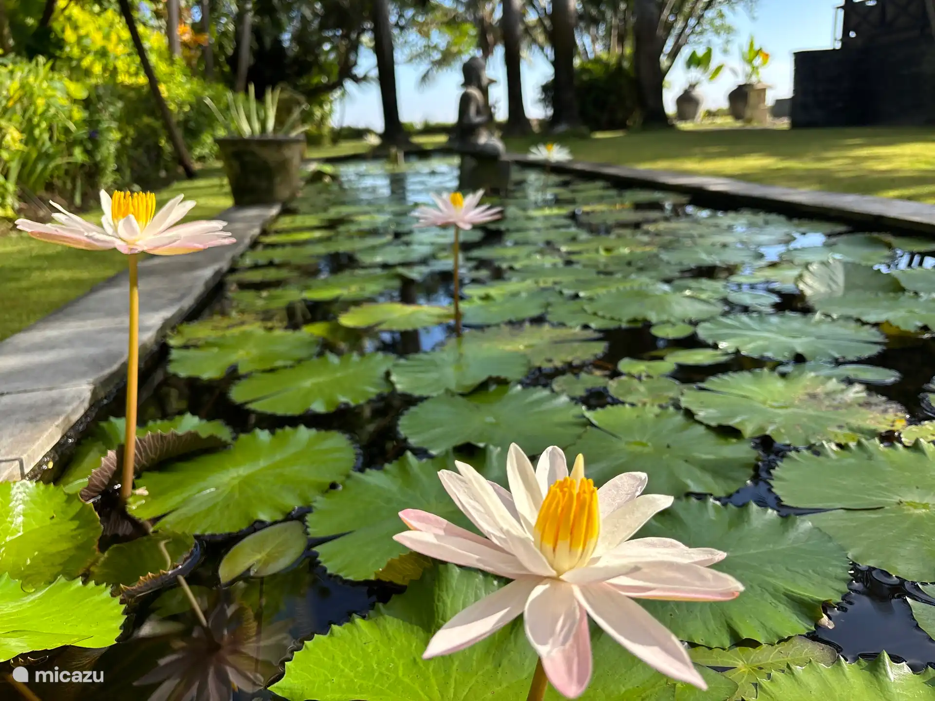 Tropischer Garten in der Villa Bossi