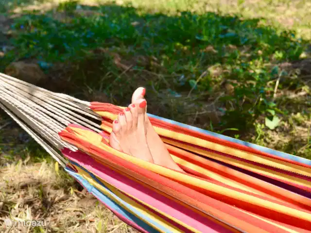 Adelfótita | Grèce, Pelion, Promyri - maison de vacances Hamac dans l’oliveraie