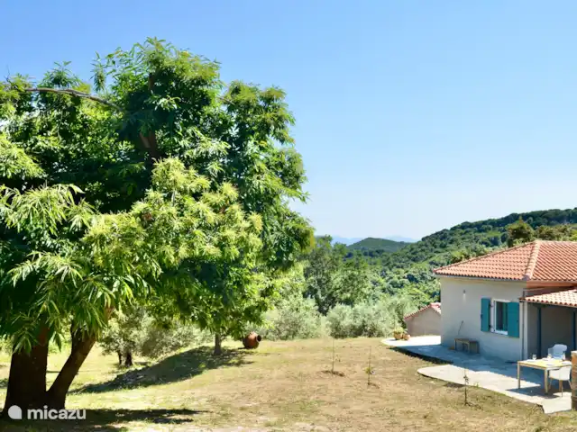Adelfótita | Grèce, Pelion, Promyri - maison de vacances Emplacement isolé dans un verger d’oliviers avec vue sur la mer