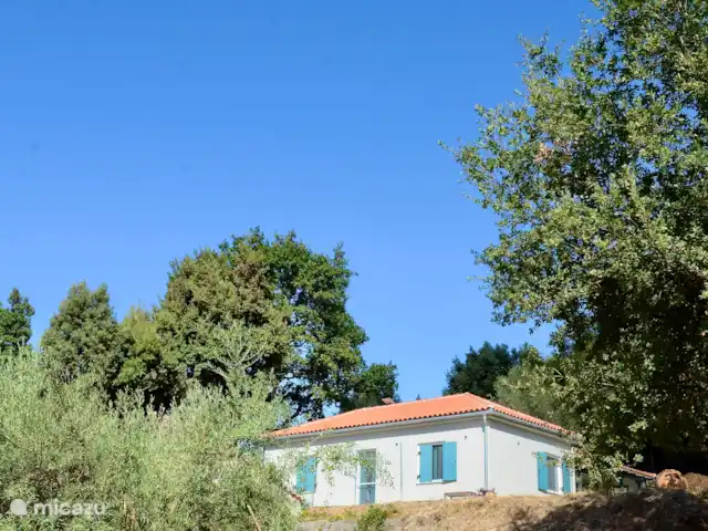 Adelfótita | Grèce, Pelion, Promyri - maison de vacances Adelfótita | Grèce, Pelion, Promyri - maison de vacances